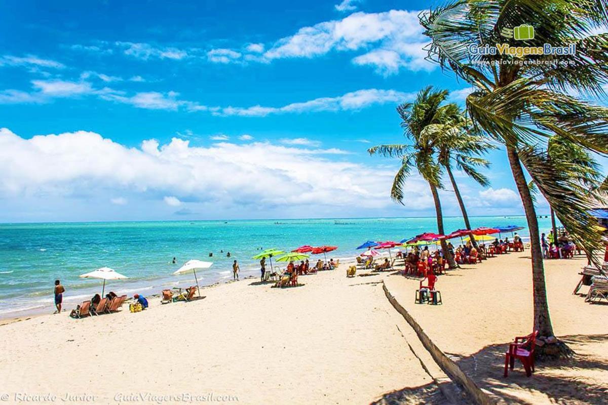 Ape 100 Metros Do Mar - Praia Maceió Exteriér fotografie